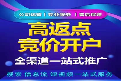 百度竞价行业应用案例：解析及实战操作